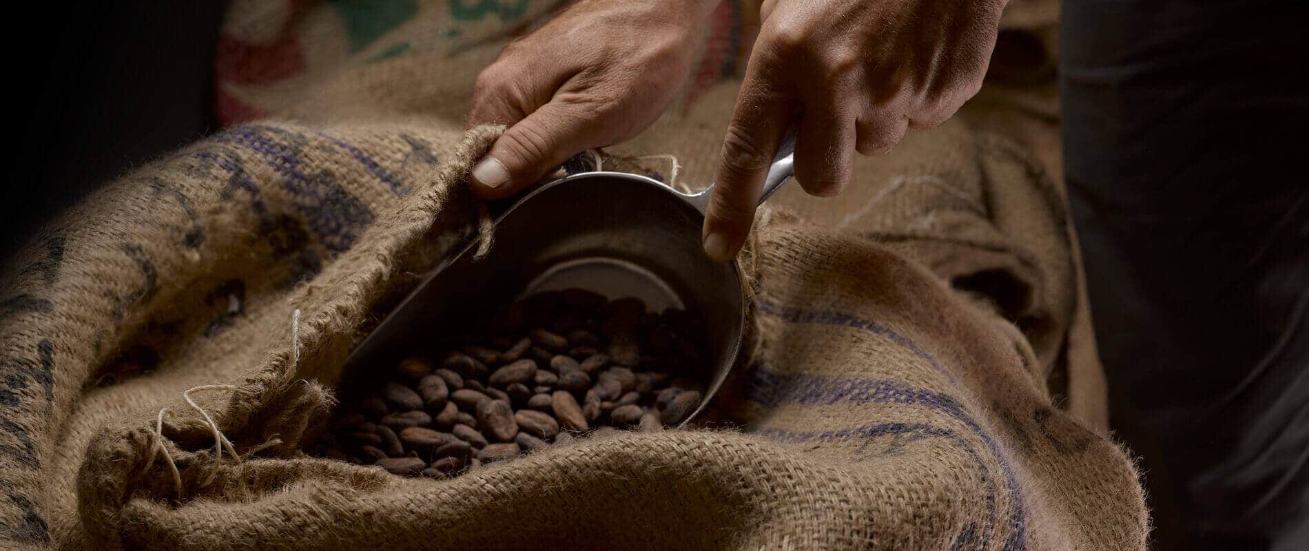 Orfève fèves de cacao en sac