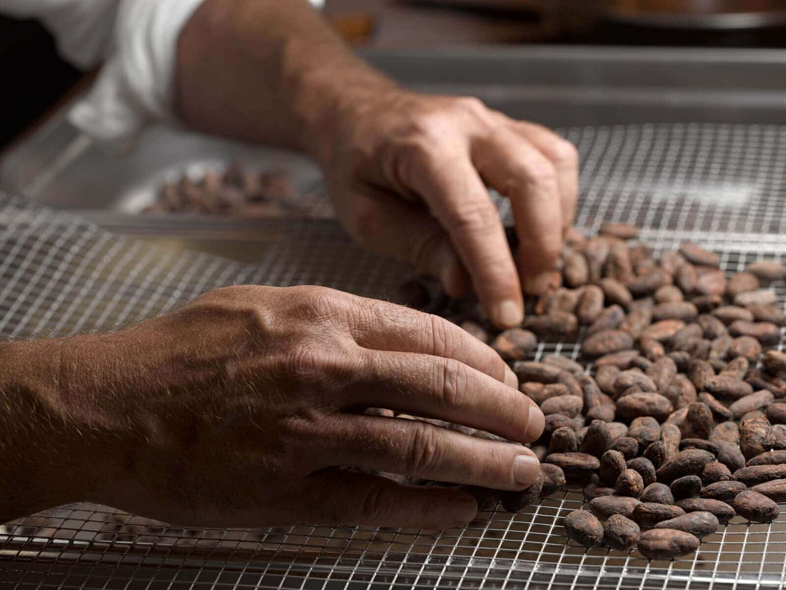 Orfève tri des fèves de cacao